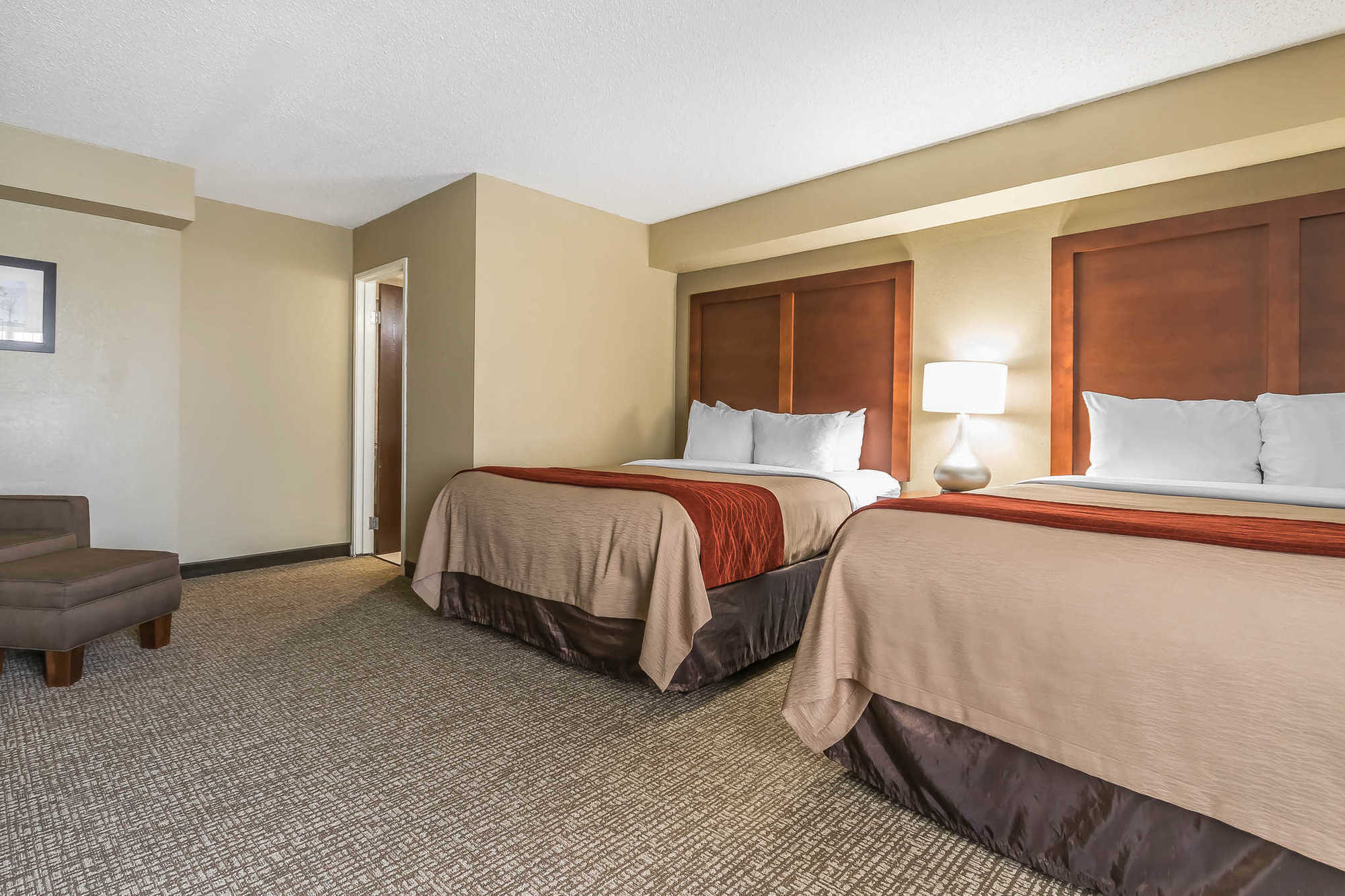 Comfort Inn & Suites Lexington Habitación foto