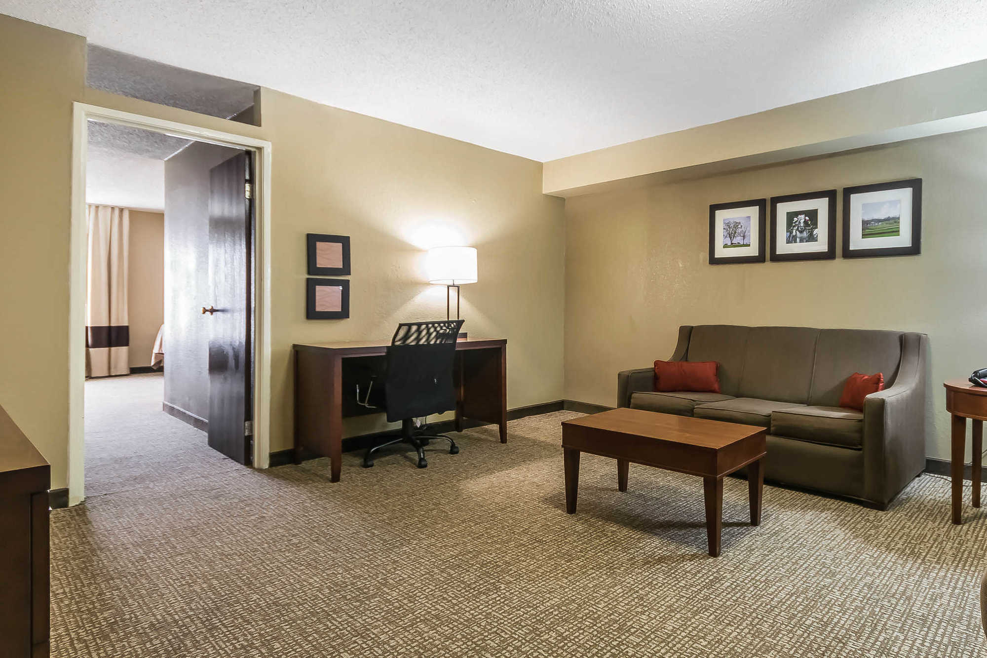 Comfort Inn & Suites Lexington Habitación foto